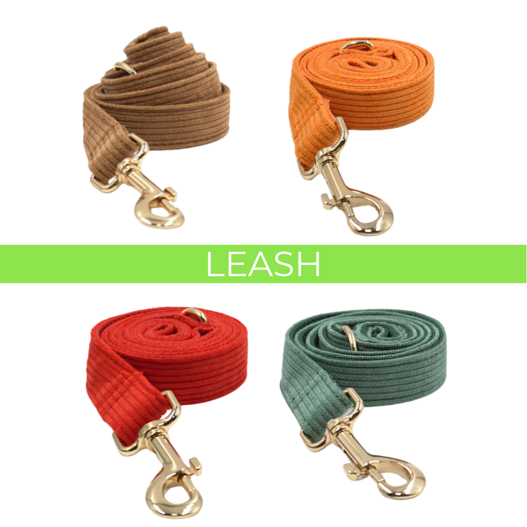 Leash