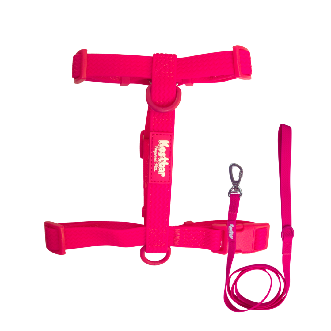 All-Weather PVC Harness & Leash Bundle