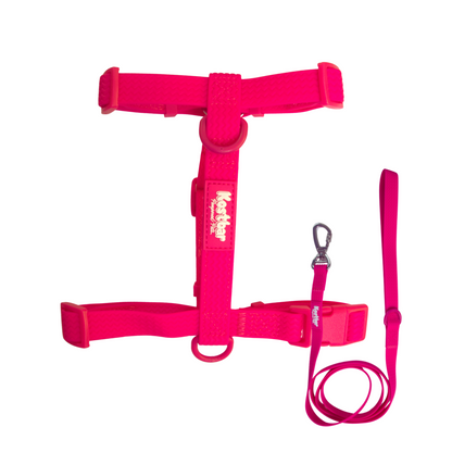 All-Weather PVC Harness & Leash Bundle