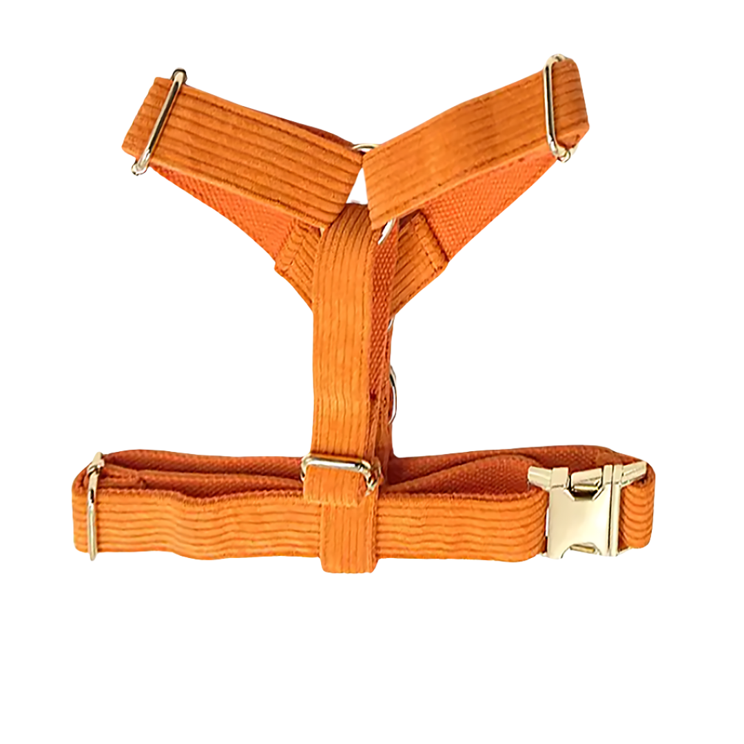 Bright orange corduroy harness, comfortable fit for pets - Kostbar Pet Club
