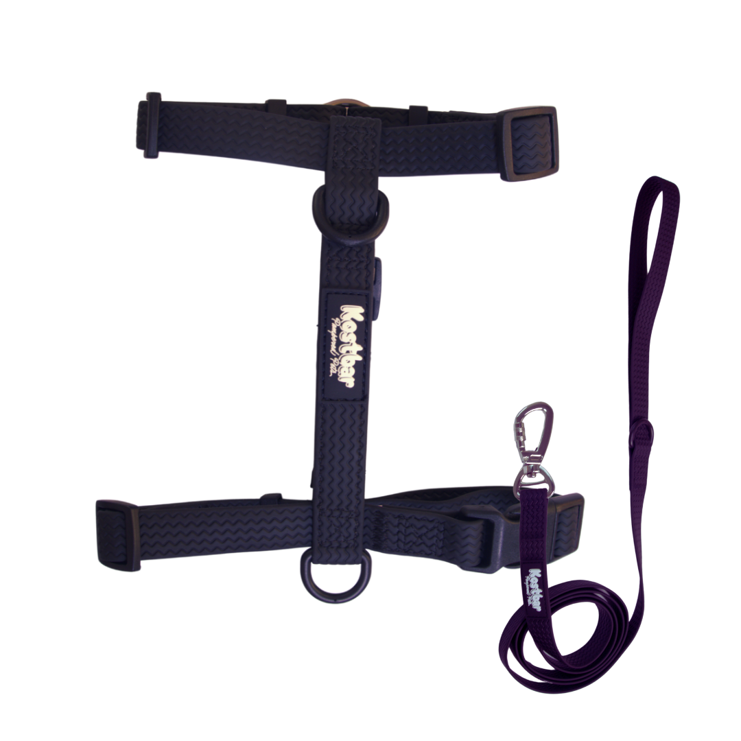 All-Weather PVC Harness & Leash Bundle