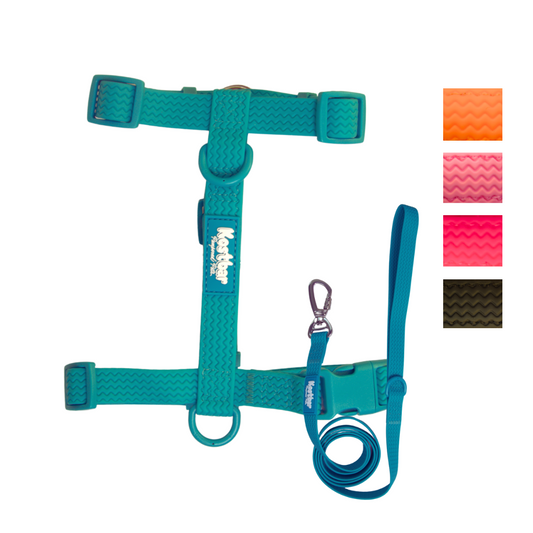 All-Weather PVC Harness & Leash Bundle