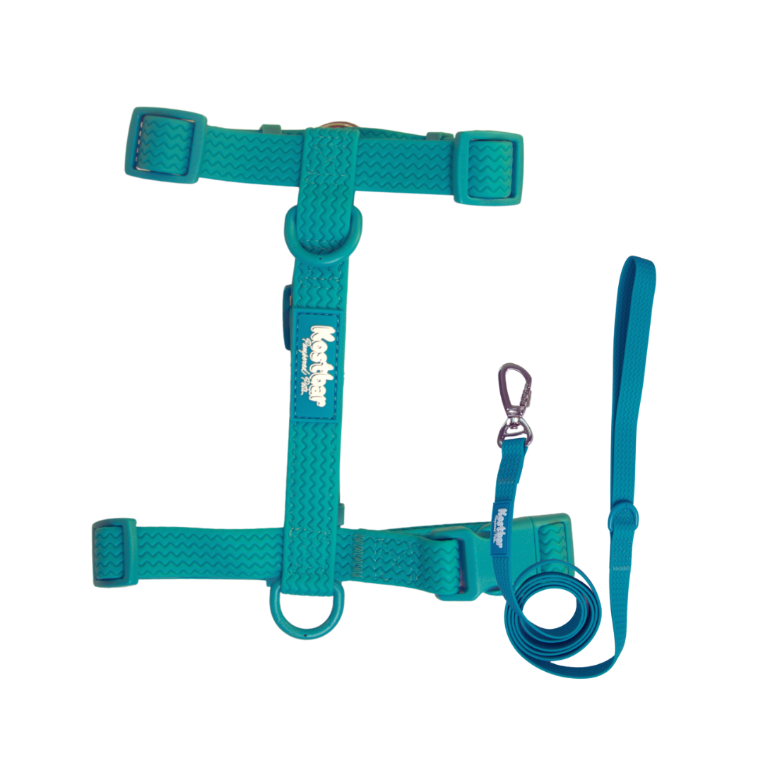 All-Weather PVC Harness & Leash Bundle