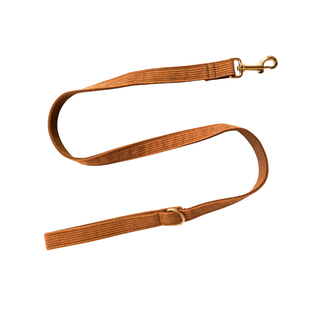 Brown corduroy leash, strong and stylish pet accessory - Kostbar Pet Club
