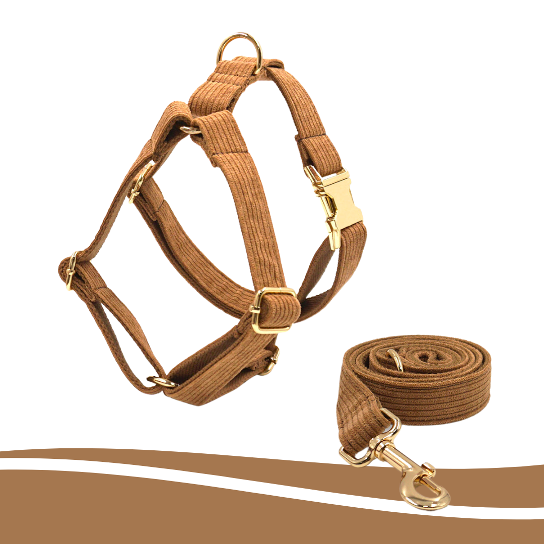 Brown corduroy harness for pets, soft and sturdy design - Kostbar Pet Club
