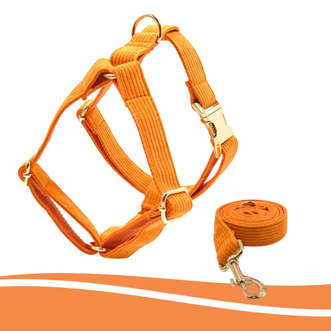 Bright orange corduroy harness, comfortable fit for pets - Kostbar Pet Club
