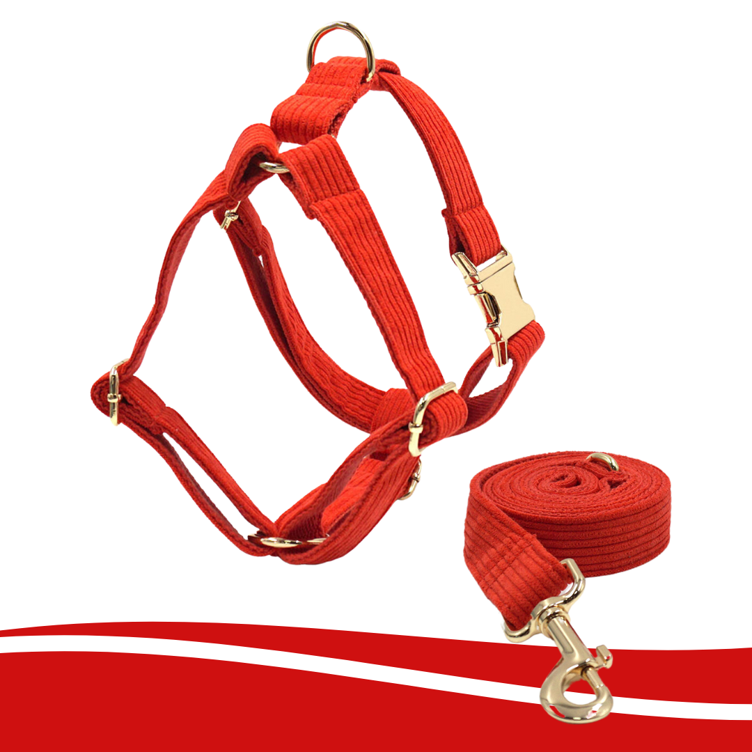 Red corduroy harness for pets, vibrant and durable - Kostbar Pet Club
