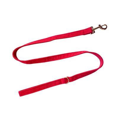 Red corduroy leash, perfect for stylish pet walks - Kostbar Pet Club
