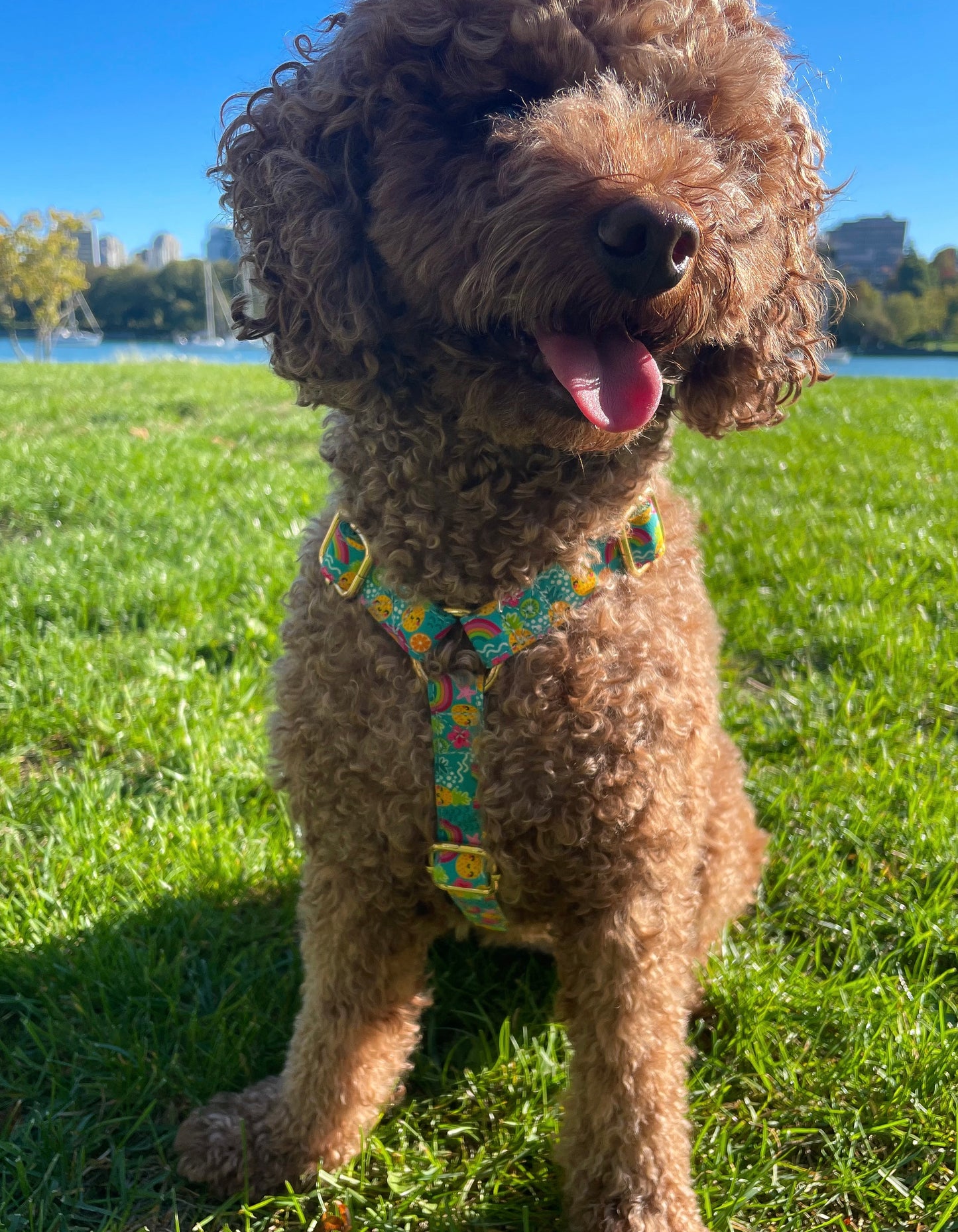 Pineapple Bliss Cotton Fabric Harness