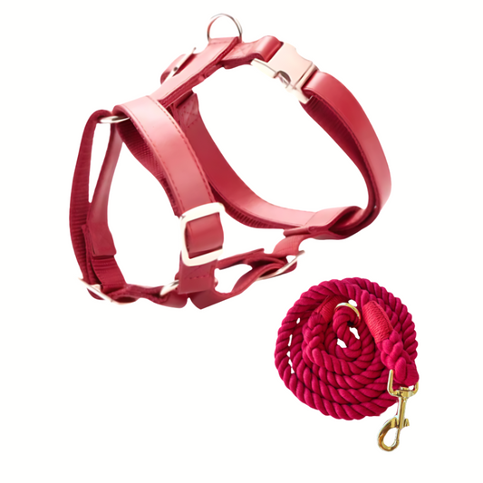 Vegan Leather Harness (Red) & Braided Rope Leash (Red) - Kostbar  Pet Club