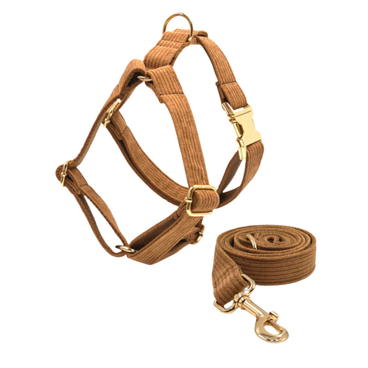 Corduroy harness & leash bundle in various colors, matching set for pets - Kostbar Pet Club
