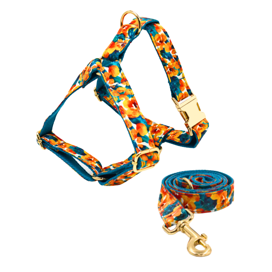 Matching abstract cotton harness & leash set, ideal for fashionable pet outings - Kostbar Pet Club
