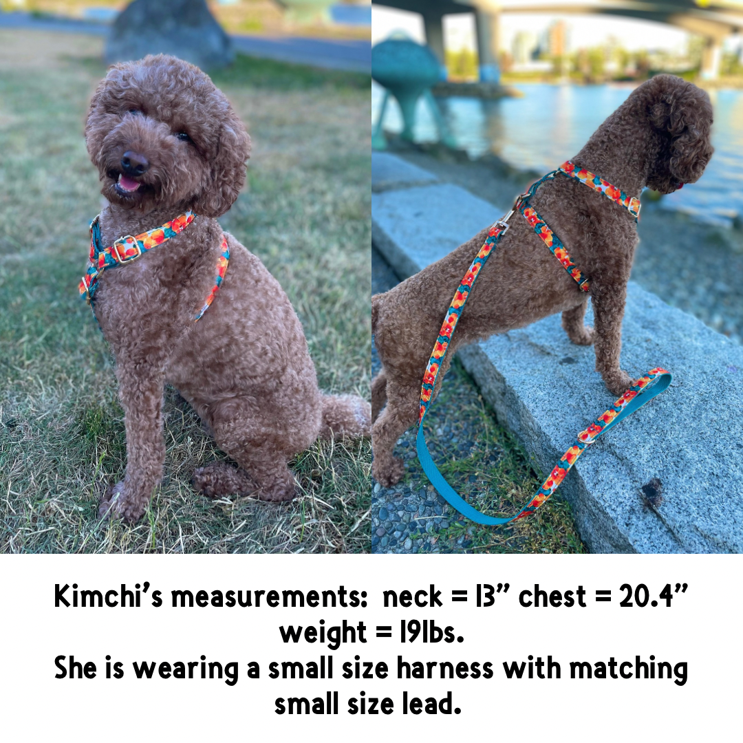 Abstract cotton fabric harness for dogs, lightweight and comfortable pet accessory - Kostbar Pet Club
