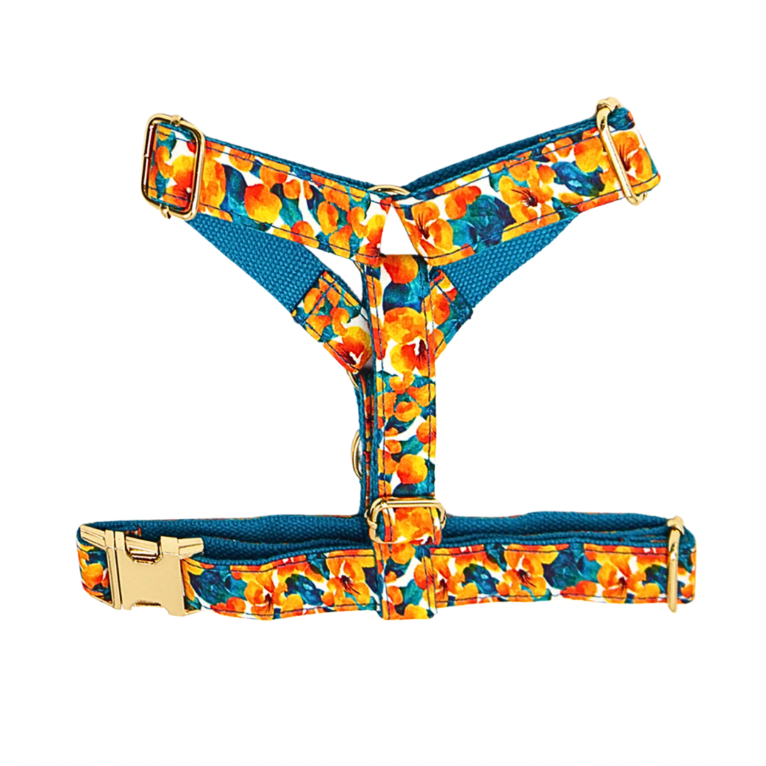 Abstract cotton fabric harness for dogs, lightweight and comfortable pet accessory - Kostbar Pet Club
