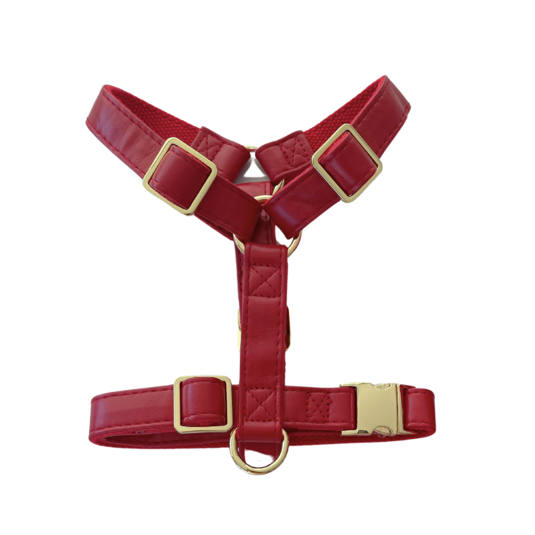 Vegan leather harness for pets, stylish and eco-friendly - Kostbar Pet Club
