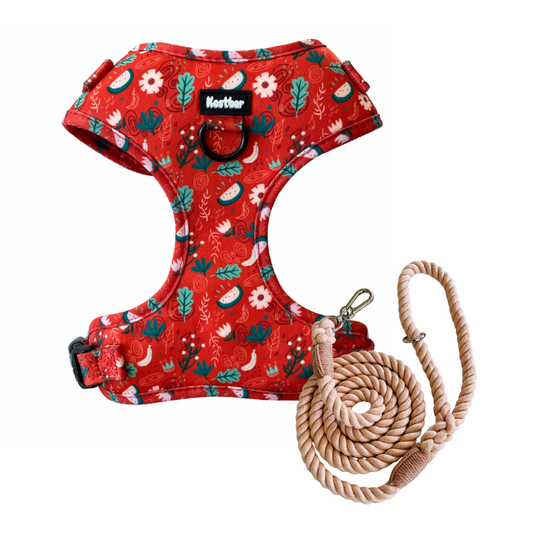 Red Charm harness with braided rope leash, perfect for stylish pets - Kostbar Pet Club
