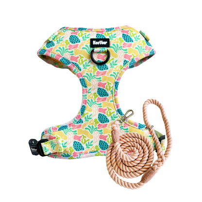 Bubble Gum Harness & Braided Rope Leash - Kostbar  Pet Club