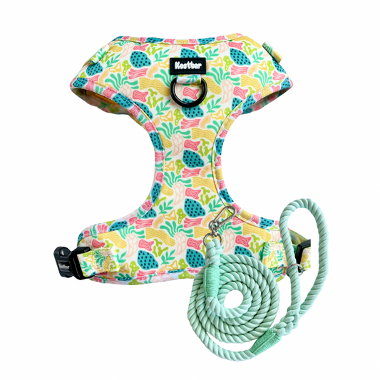 Bubble Gum harness with braided rope leash, vibrant and durable pet set - Kostbar Pet Club
