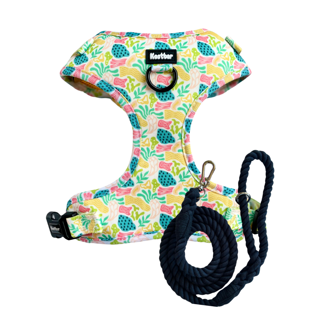 Bubble Gum Harness & Braided Rope Leash - Kostbar  Pet Club