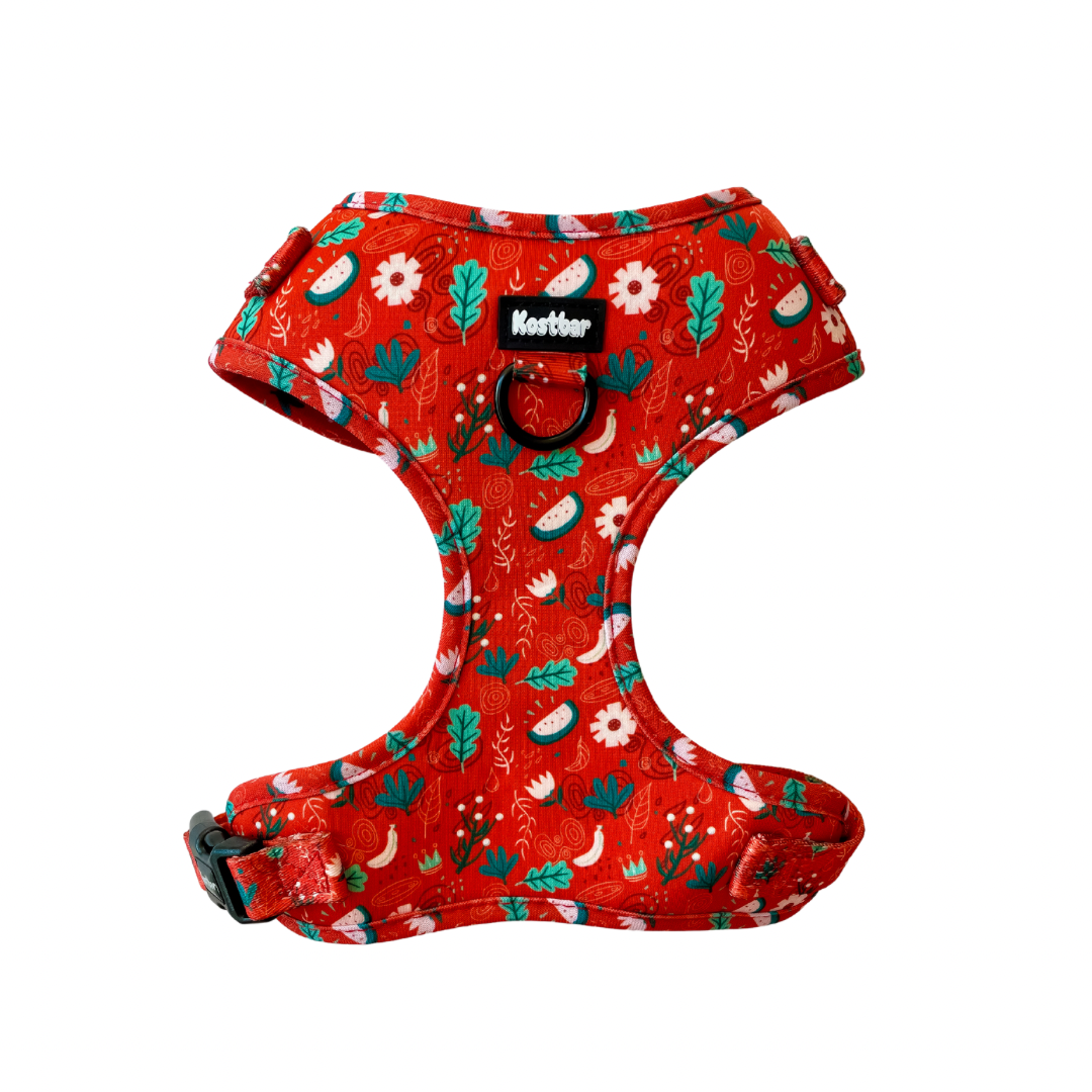 Red Charm neoprene fabric harness, soft and adjustable for pets - Kostbar Pet Club
