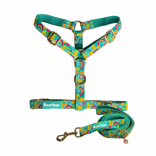 Pineapple Bliss Harness & Leash Cotton Fabric Bundle