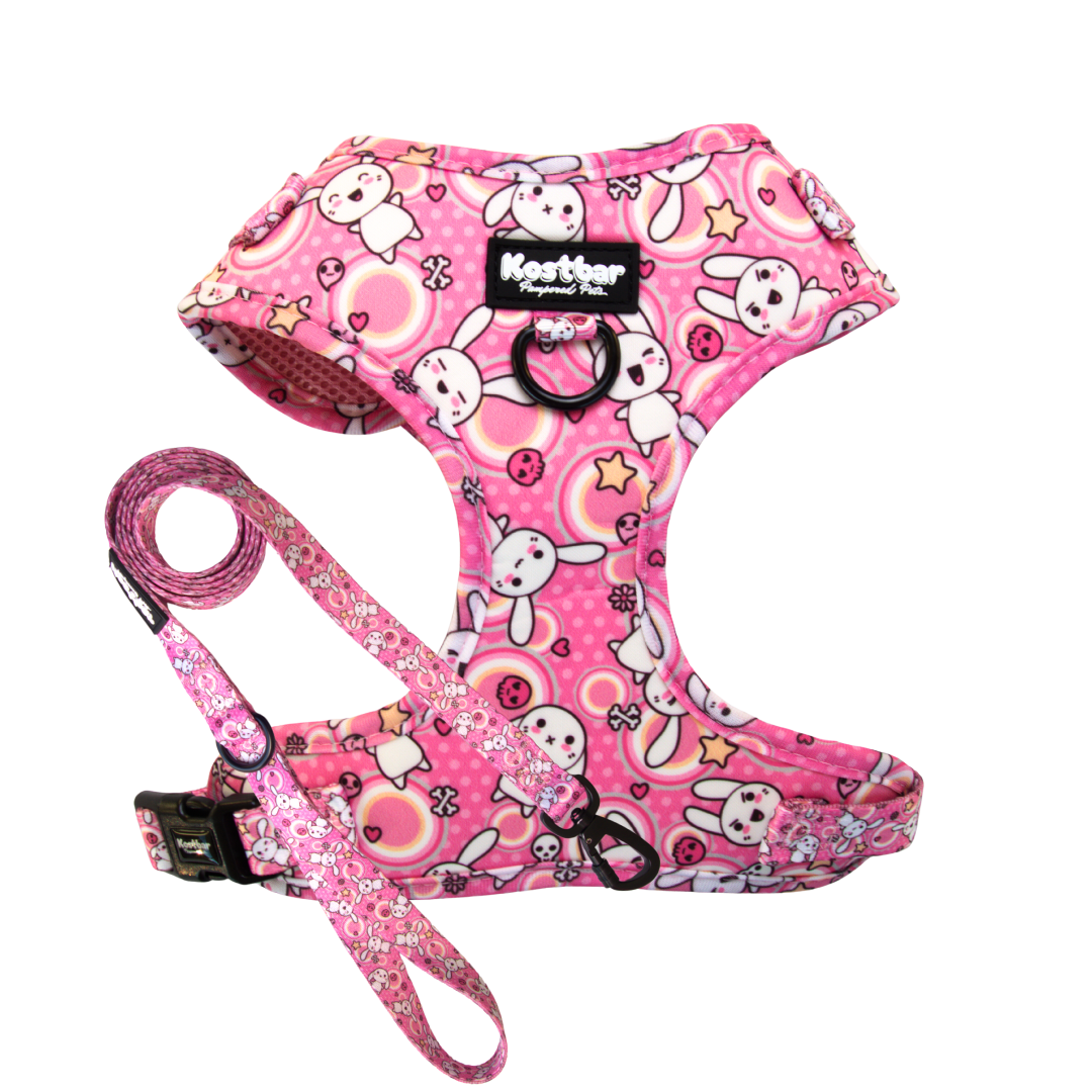 Kawaii Doodles harness & leash set, playful pattern for pets - Kostbar Pet Club
