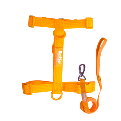 All-Weather PVC Harness & Leash Bundle